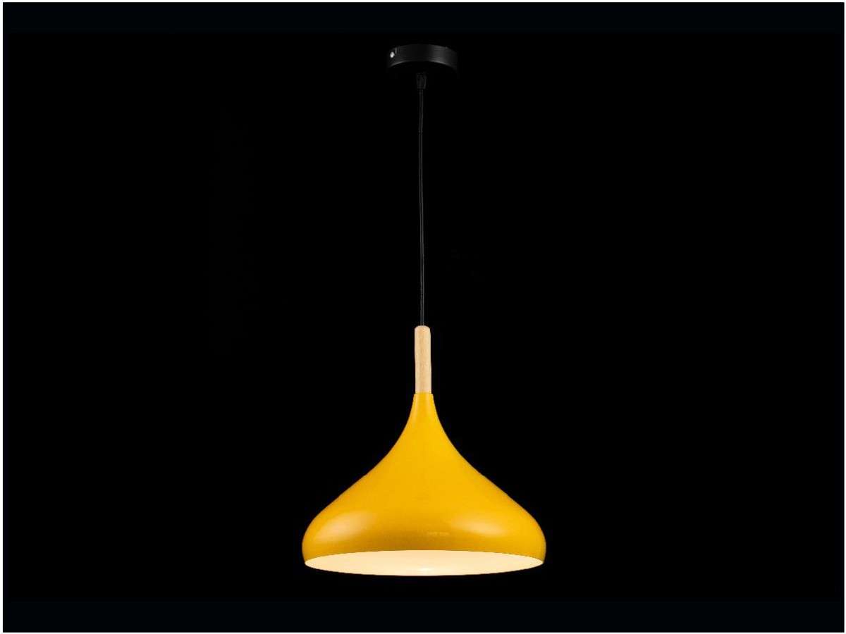 Lámpara colgante BOLIC FL663-1P