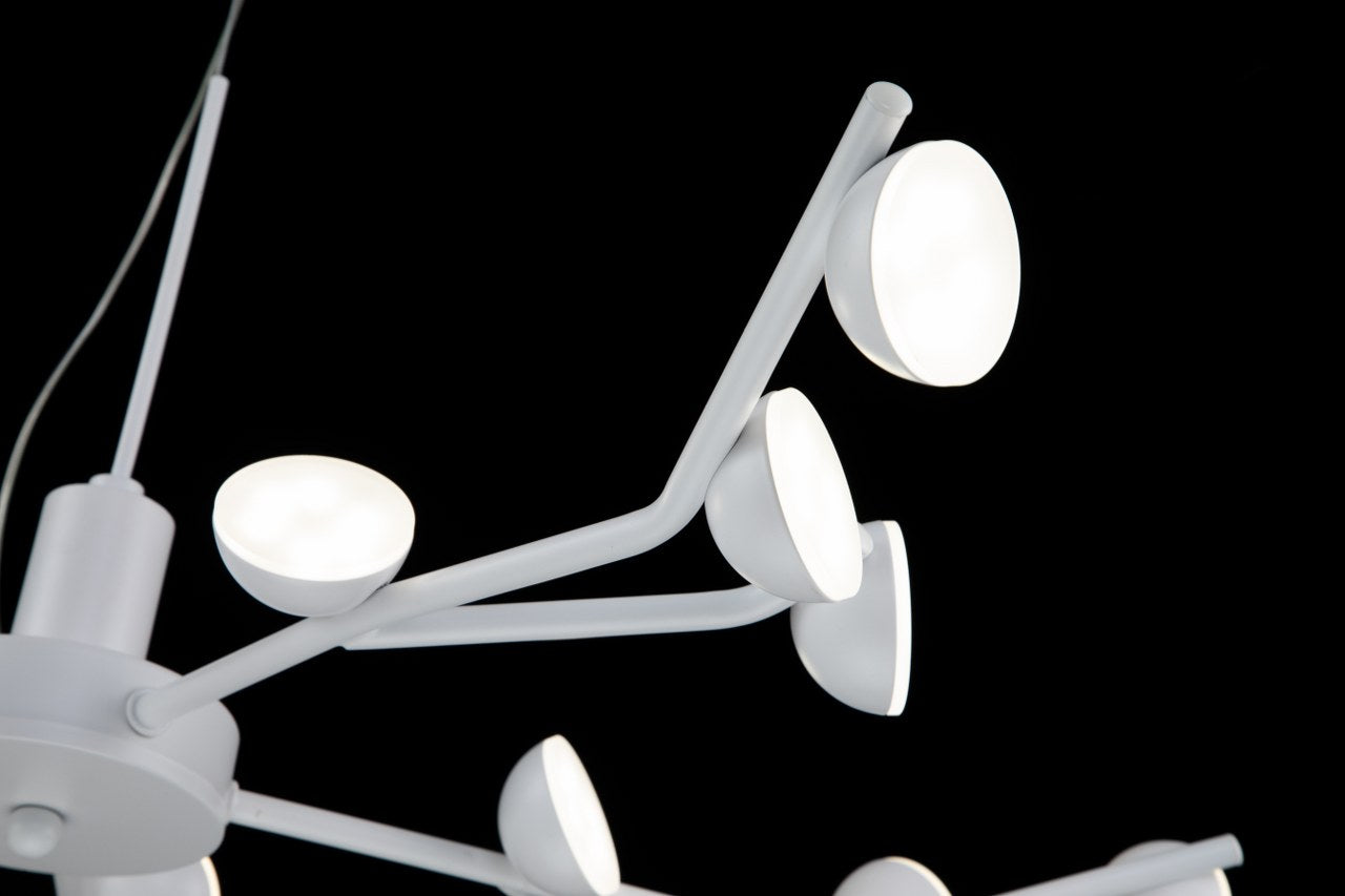 Lámpara colgante PAW LP4012-D70P