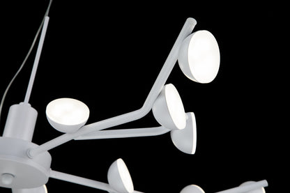 Lámpara colgante PAW LP4012-D70P