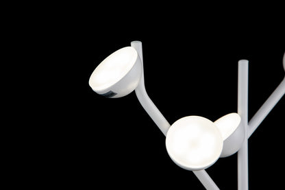 Aplique PAW LP4012-1W