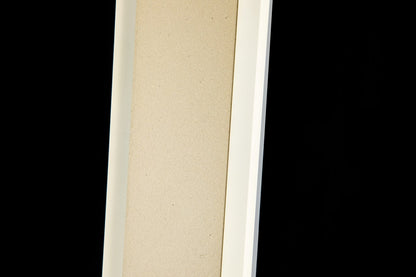 Aplique WALLSHADE LP5030-L80W