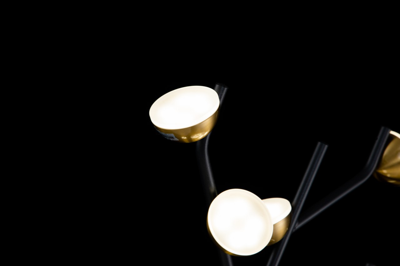 Aplique PAW LP4013-1W