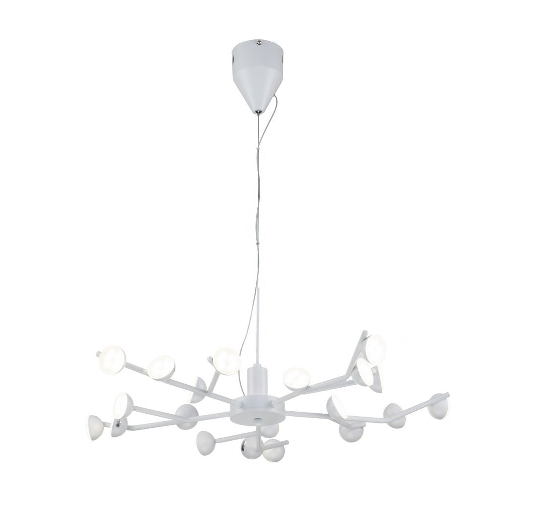 Lámpara colgante PAW LP4012-D70P