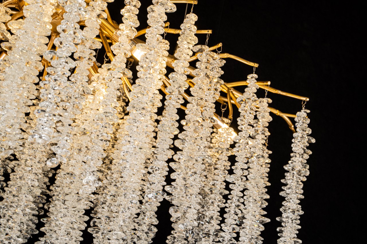 GRAPEDROP  CLN194-L120