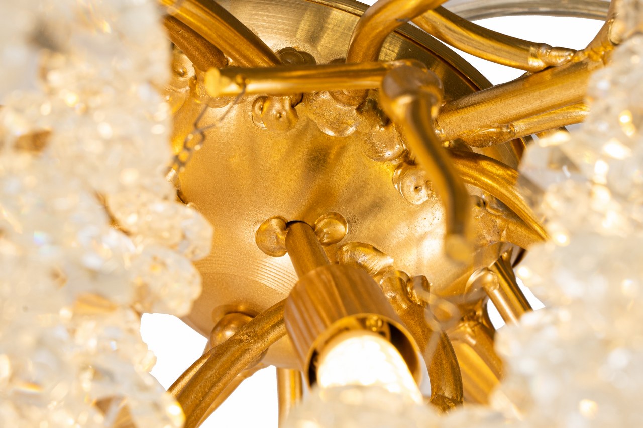 GRAPEDROP  CLN194-L120