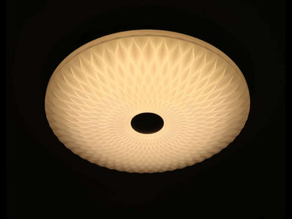 Lámpara de techo STELAR FL410-D40