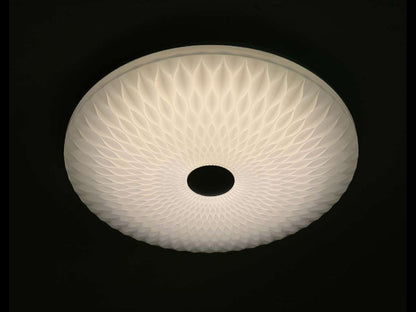 Lámpara de techo STELAR FL410-D50