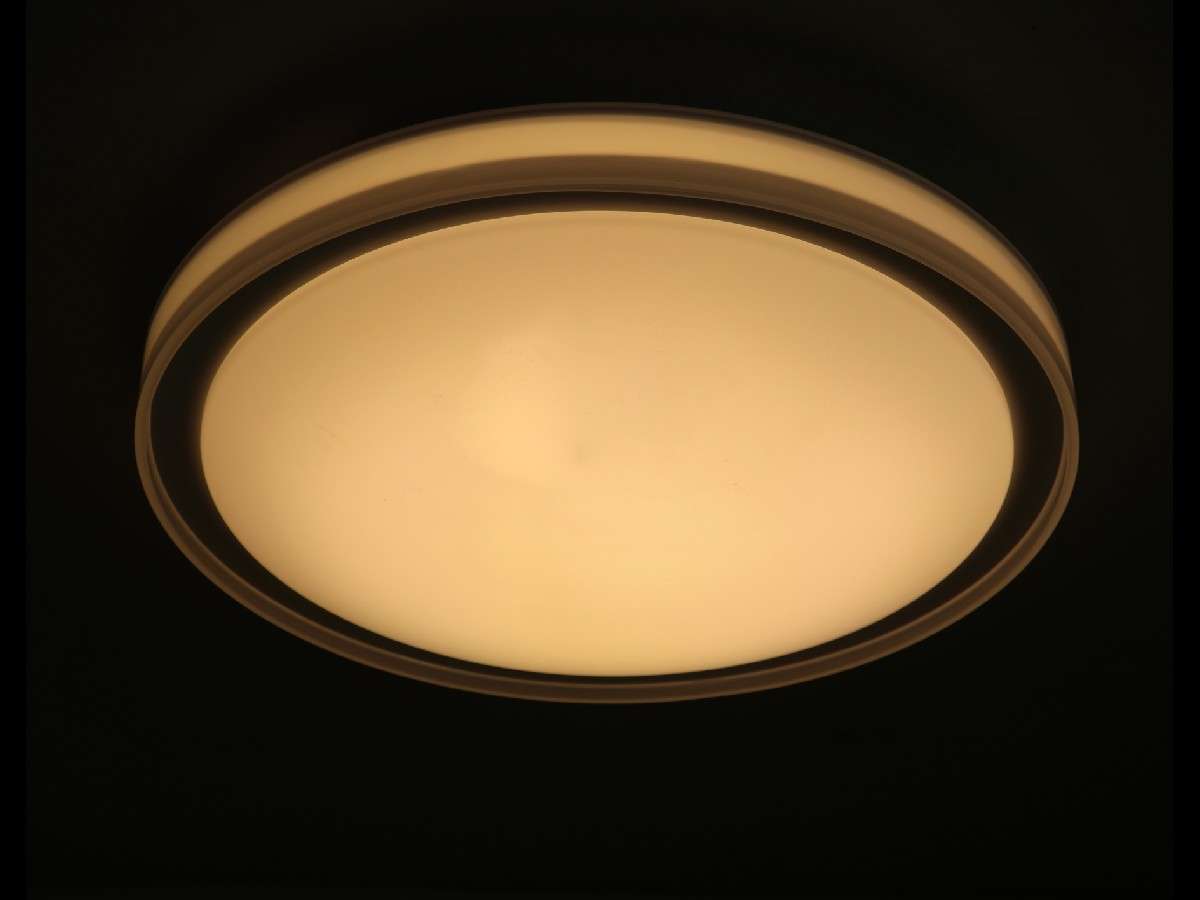 Lámpara de techo SIMPLE FL411-D45