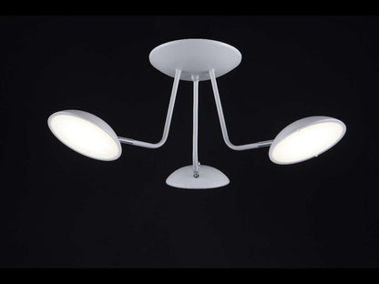 Lámpara de techo NASHVILLE FL551-3