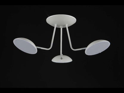 Lámpara de techo NASHVILLE FL551-3