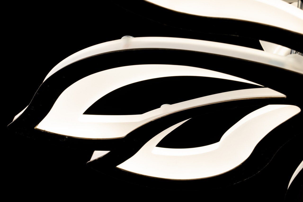 Lámpara de techo FLEUR FL577-5C