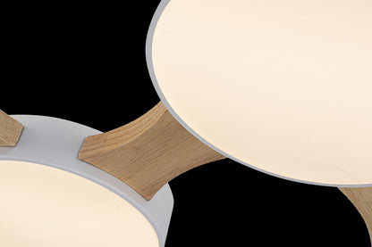 Plafón de Techo LED Nordic - FL638-5