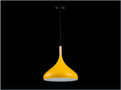 Lámpara colgante BOLIC FL663-1P