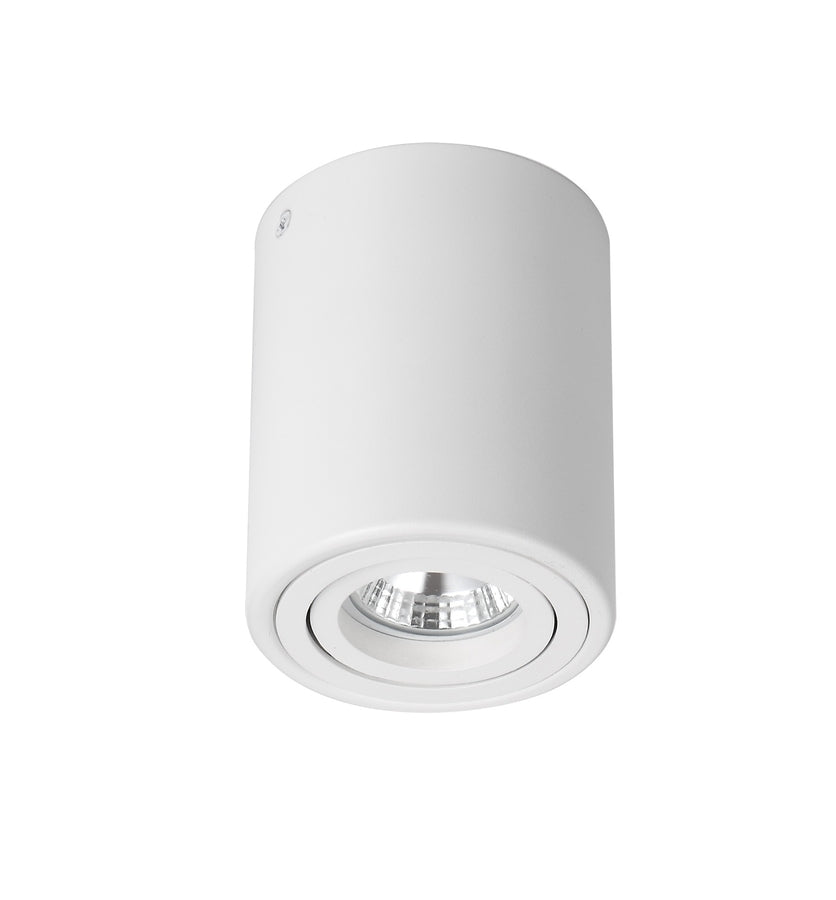 Downlight RONDO FL801-1C WHITE