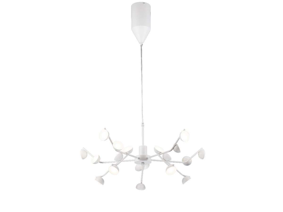 Lámpara de techo PAW LP5008-D70P