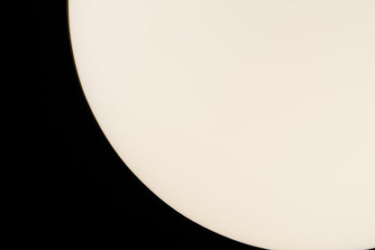 Lampara de techo MONER - LP5087-C20