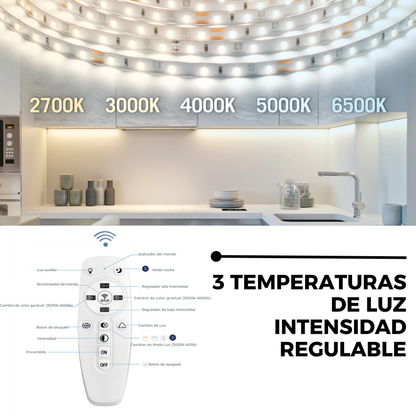 Lámpara de Techo LED 2 Aros DISCO - FL642-2C